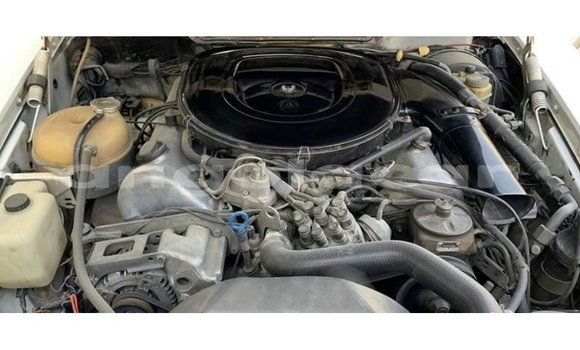 Comprar Importar Mercedes-Benz 190 Branco Carro em Import - Dubai em Bengo Province Comprar Importar Mercedes-Benz 190 Branco Carro em Import - Dubai em Bengo Province