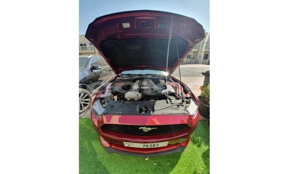 Acheter Import Voiture Ford Mustang Rouge à Import - Dubai, Province de Bengo Acheter Import Voiture Ford Mustang Rouge à Import - Dubai, Province de Bengo