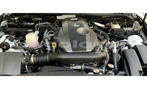 Comprar Importar Lexus IS Branco Carro em Import - Dubai em Bengo Province Comprar Importar Lexus IS Branco Carro em Import - Dubai em Bengo Province