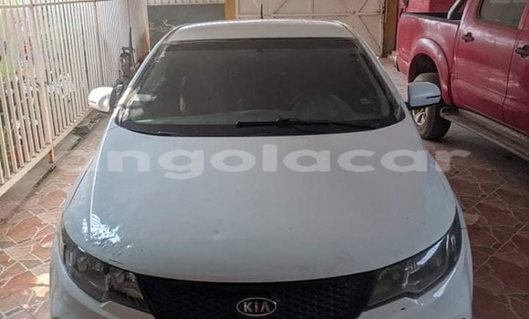 Buy Used Kia Cerato White Car in Luanda in Luanda Province