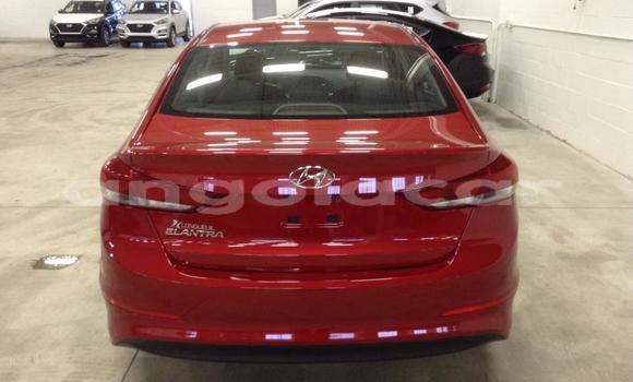 Buy Used Hyundai Elantra Red Car in Benguela in Benguela Buy Used Hyundai Elantra Red Car in Benguela in Benguela