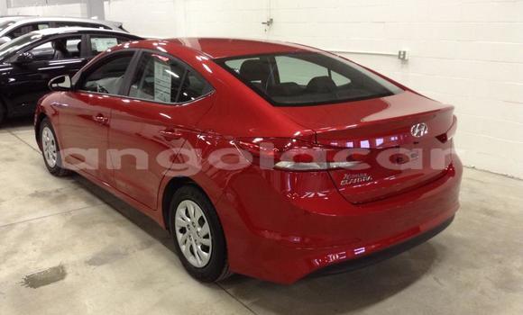 Buy Used Hyundai Elantra Red Car in Benguela in Benguela Buy Used Hyundai Elantra Red Car in Benguela in Benguela