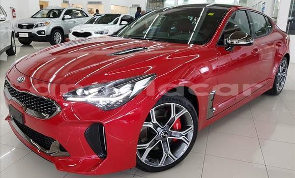 Comprar Usado Kia Stinger Vermelho Carro em Luena em Moxico
