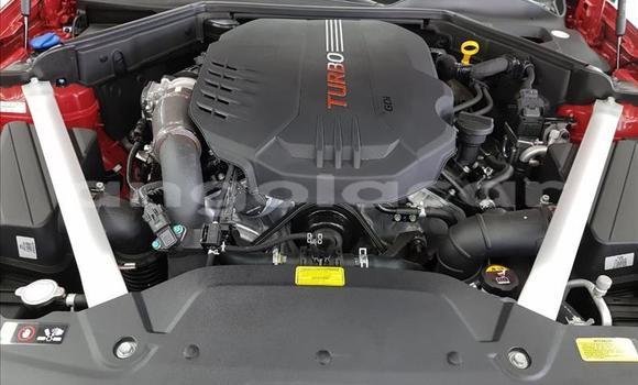 Comprar Usado Kia Stinger Vermelho Carro em Luena em Moxico Comprar Usado Kia Stinger Vermelho Carro em Luena em Moxico