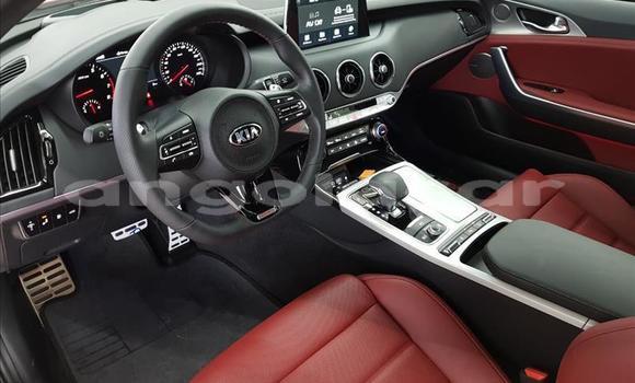 Comprar Usado Kia Stinger Vermelho Carro em Luena em Moxico Comprar Usado Kia Stinger Vermelho Carro em Luena em Moxico