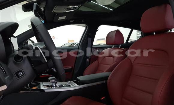 Comprar Usado Kia Stinger Vermelho Carro em Luena em Moxico Comprar Usado Kia Stinger Vermelho Carro em Luena em Moxico