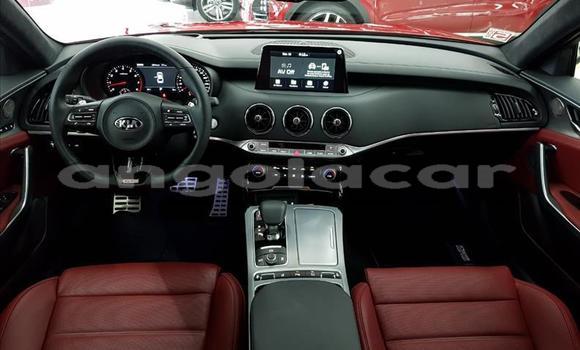 Comprar Usado Kia Stinger Vermelho Carro em Luena em Moxico Comprar Usado Kia Stinger Vermelho Carro em Luena em Moxico