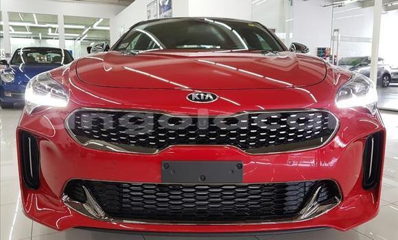 Comprar Usado Kia Stinger Vermelho Carro em Luena em Moxico Comprar Usado Kia Stinger Vermelho Carro em Luena em Moxico