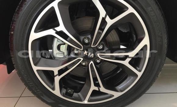 Comprar Usado Kia Sportage Outro Carro em Luena em Moxico Comprar Usado Kia Sportage Outro Carro em Luena em Moxico