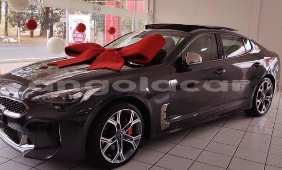 Buy Used Kia Stinger Black Car in Luena in Moxico Buy Used Kia Stinger Black Car in Luena in Moxico