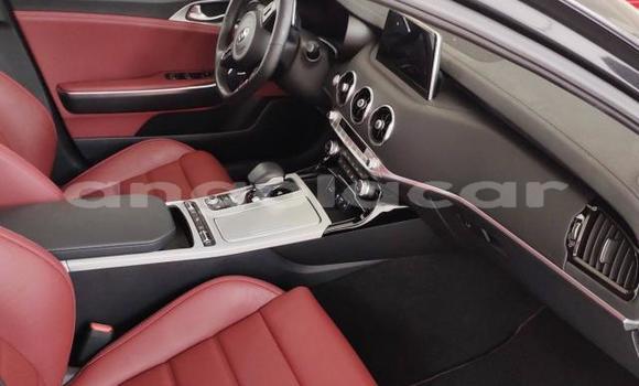 Comprar Usado Kia Stinger Preto Carro em Luena em Moxico Comprar Usado Kia Stinger Preto Carro em Luena em Moxico