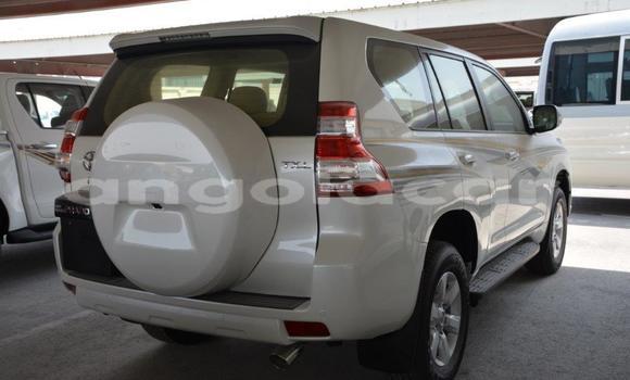 Comprar Usado Toyota Prado Branco Carro em N'zeto em Zaire Comprar Usado Toyota Prado Branco Carro em N'zeto em Zaire