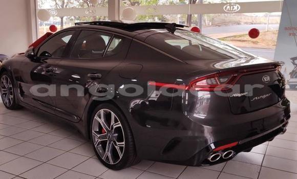 Comprar Novo Kia Stinger Preto Carro em N'zeto em Zaire