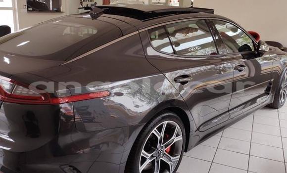 Comprar Novo Kia Stinger Preto Carro em N'zeto em Zaire Comprar Novo Kia Stinger Preto Carro em N'zeto em Zaire