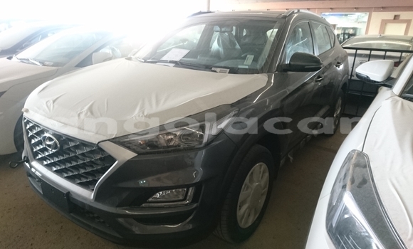 Buy New Hyundai Tucson Other Car in Luena in Moxico Buy New Hyundai Tucson Other Car in Luena in Moxico