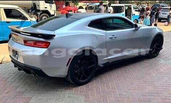 Acheter Occasion Voiture Chevrolet Camaro Gris à Benguela, Benguela Acheter Occasion Voiture Chevrolet Camaro Gris à Benguela, Benguela