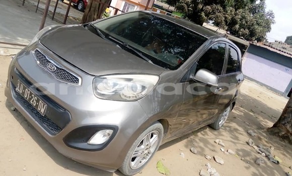 Comprar Usado Kia Picanto Outro Carro em Luanda em Luanda Province
