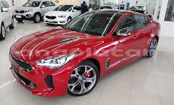 Acheter Occasion Voiture Kia Stinger Rouge à Luanda, Province de Luanda Acheter Occasion Voiture Kia Stinger Rouge à Luanda, Province de Luanda