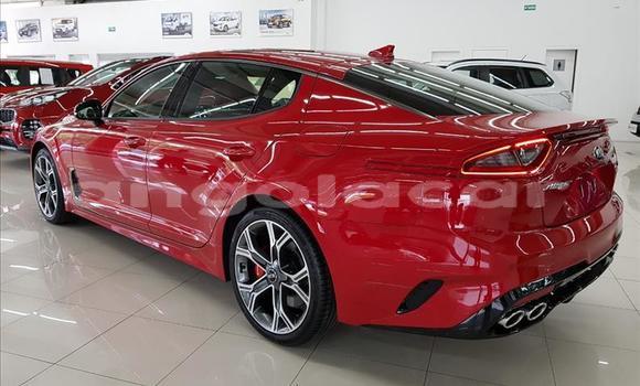 Comprar Usado Kia Stinger Vermelho Carro em Luanda em Luanda Province Comprar Usado Kia Stinger Vermelho Carro em Luanda em Luanda Province