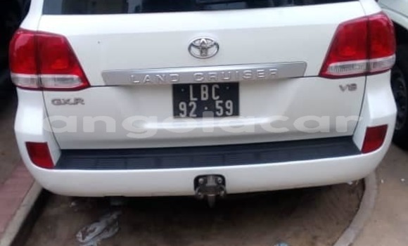 Buy Used Toyota Land Cruiser White Car in Luanda in Luanda Province Buy Used Toyota Land Cruiser White Car in Luanda in Luanda Province