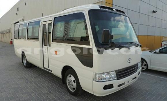 Comprar Usado Toyota Coaster Branco Carro em Luanda em Luanda Province Comprar Usado Toyota Coaster Branco Carro em Luanda em Luanda Province