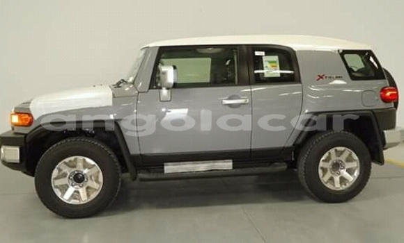 Comprar Usado Toyota FJ Cruiser Outro Carro em N'zeto em Zaire