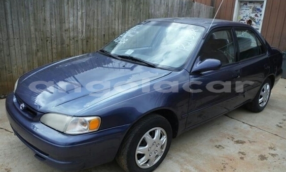 Comprar Usado Toyota Corolla Azul Carro em N'zeto em Zaire