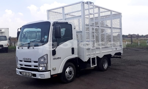 Buy Used Isuzu FTR 850 White Truck in Luanda in Luanda Province Buy Used Isuzu FTR 850 White Truck in Luanda in Luanda Province