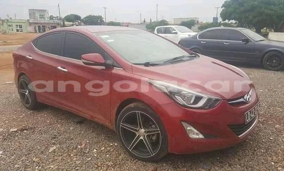 Comprar Usado Hyundai Elantra Vermelho Carro em Luanda em Luanda Province Comprar Usado Hyundai Elantra Vermelho Carro em Luanda em Luanda Province