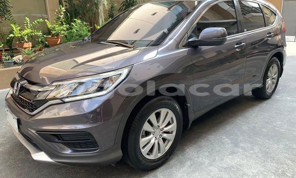 Comprar Novo Honda CR–V Outro Carro em Leua em Moxico Comprar Novo Honda CR–V Outro Carro em Leua em Moxico
