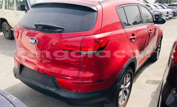 Comprar Usado Kia Sportage Vermelho Carro em Luanda em Luanda Province