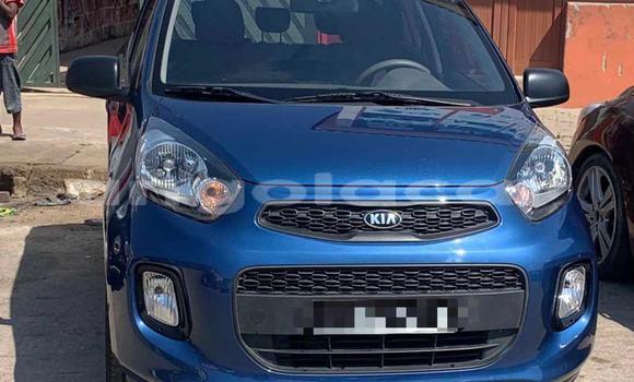 Buy Used Kia Picanto Blue Car in Luanda in Luanda Province Buy Used Kia Picanto Blue Car in Luanda in Luanda Province