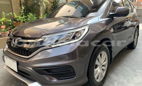 Buy Used Honda CR–V Black Car in Benguela in Benguela