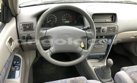 Buy Used Toyota Corolla Black Car in Luanda in Luanda Province Buy Used Toyota Corolla Black Car in Luanda in Luanda Province
