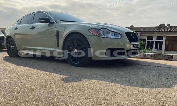 Comprar Usado Jaguar XFR Bege Carro em Luanda em Luanda Province Comprar Usado Jaguar XFR Bege Carro em Luanda em Luanda Province