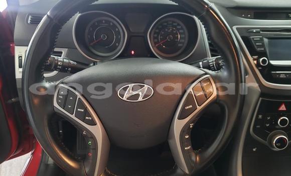 Buy Used Hyundai Elantra Red Car in Luanda in Luanda Province Buy Used Hyundai Elantra Red Car in Luanda in Luanda Province