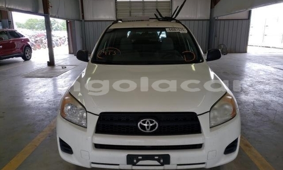 Comprar Usado Toyota RAV4 Branco Carro em Luanda em Luanda Province Comprar Usado Toyota RAV4 Branco Carro em Luanda em Luanda Province