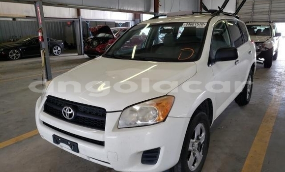 Comprar Usado Toyota RAV4 Branco Carro em Luanda em Luanda Province Comprar Usado Toyota RAV4 Branco Carro em Luanda em Luanda Province