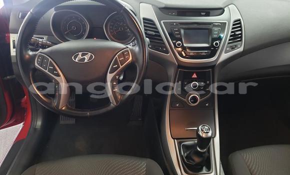 Buy Used Hyundai Elantra Red Car in Luanda in Luanda Province Buy Used Hyundai Elantra Red Car in Luanda in Luanda Province