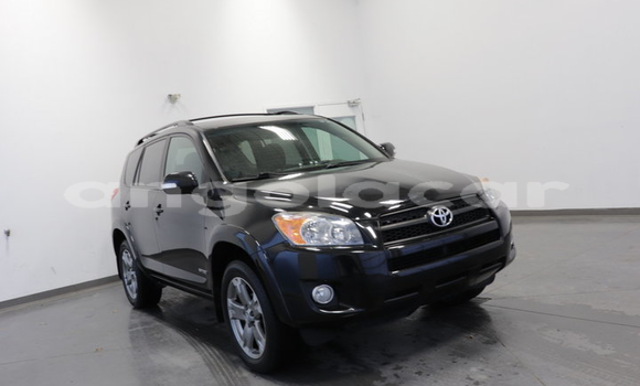 Buy Used Toyota RAV4 Black Car in Luanda in Luanda Province Buy Used Toyota RAV4 Black Car in Luanda in Luanda Province