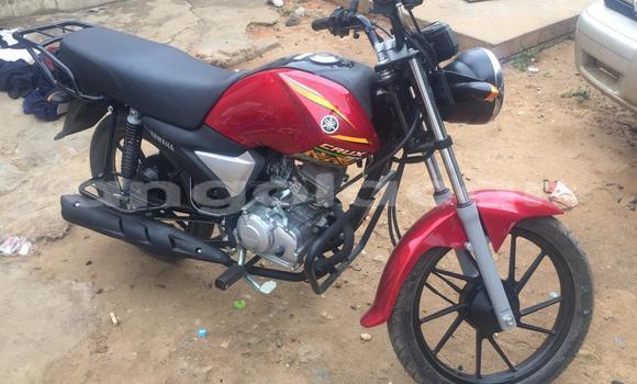 Comprar Novo Yamaha C3 Marrom Moto em Luanda em Luanda Province Comprar Novo Yamaha C3 Marrom Moto em Luanda em Luanda Province