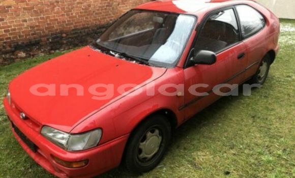 Buy Used Toyota Corolla Red Car in Luanda in Luanda Province Buy Used Toyota Corolla Red Car in Luanda in Luanda Province