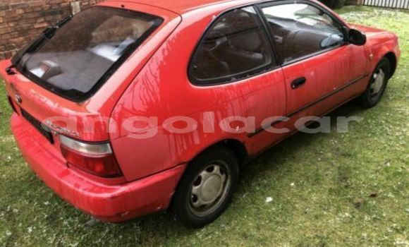Buy Used Toyota Corolla Red Car in Luanda in Luanda Province Buy Used Toyota Corolla Red Car in Luanda in Luanda Province