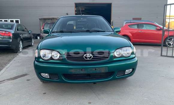 Buy Used Toyota Corolla Green Car in Luanda in Luanda Province Buy Used Toyota Corolla Green Car in Luanda in Luanda Province