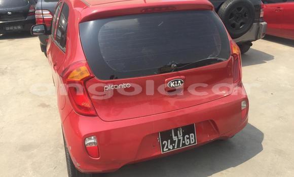 Acheter Occasion Voiture Kia Picanto Rouge à Luanda, Province de Luanda Acheter Occasion Voiture Kia Picanto Rouge à Luanda, Province de Luanda