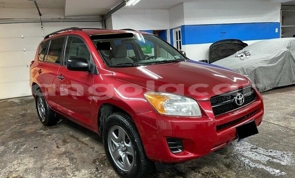 Buy Used Toyota RAV4 Red Car in Luanda in Luanda Province Buy Used Toyota RAV4 Red Car in Luanda in Luanda Province