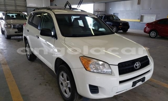 Buy Used Toyota RAV4 Other Car in Luanda in Luanda Province