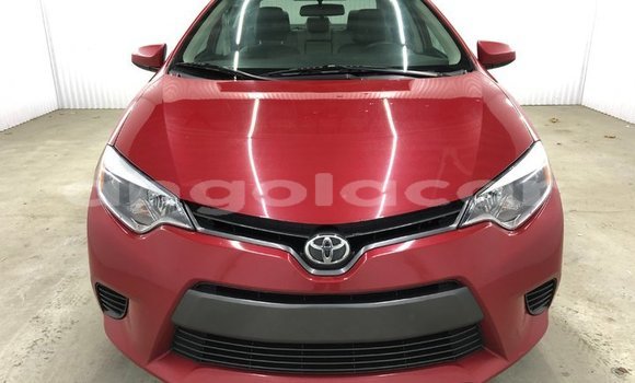 Buy Used Toyota Corolla Red Car in Luanda in Luanda Province Buy Used Toyota Corolla Red Car in Luanda in Luanda Province