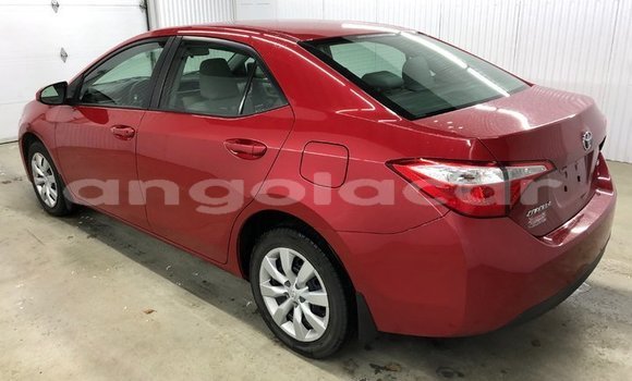 Buy Used Toyota Corolla Red Car in Luanda in Luanda Province Buy Used Toyota Corolla Red Car in Luanda in Luanda Province