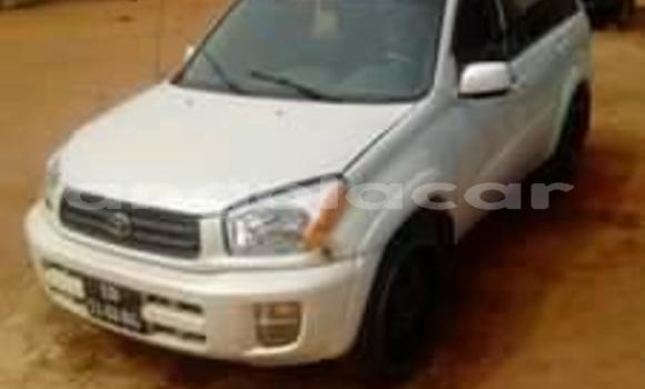 Buy Used Toyota RAV4 White Car in Benguela in Benguela Buy Used Toyota RAV4 White Car in Benguela in Benguela